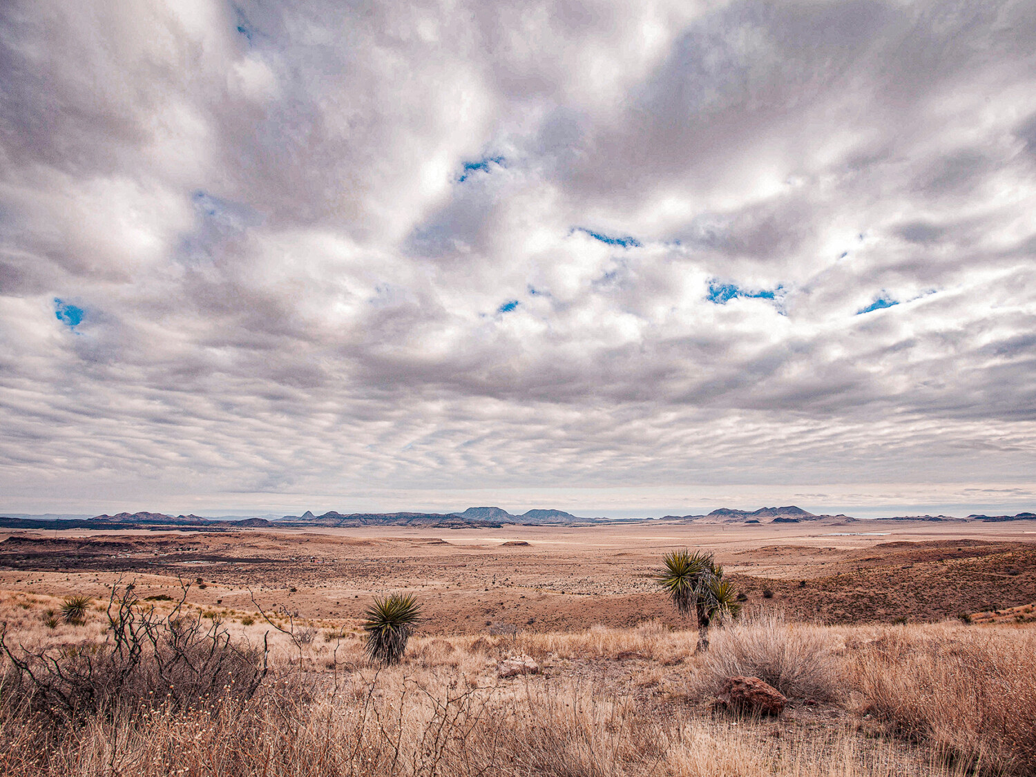 Our family trip to Big Bend Texas